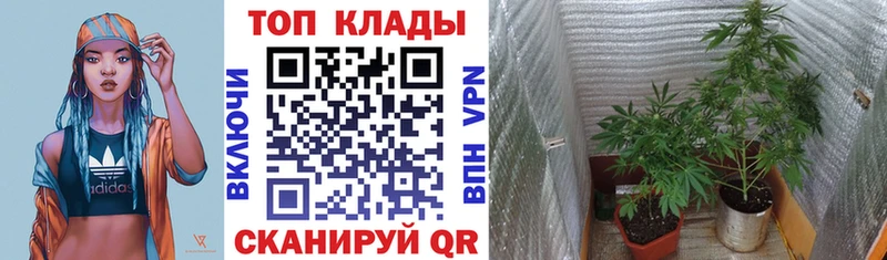 Мефедрон Кандалакша