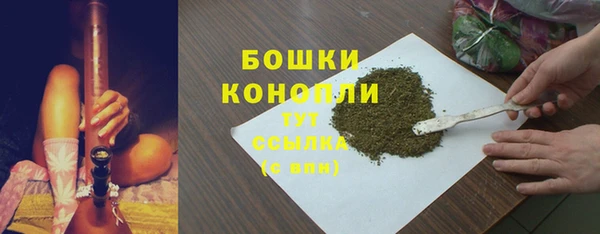 мдпв Дмитровск