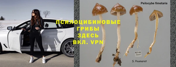 MESCALINE Дмитров