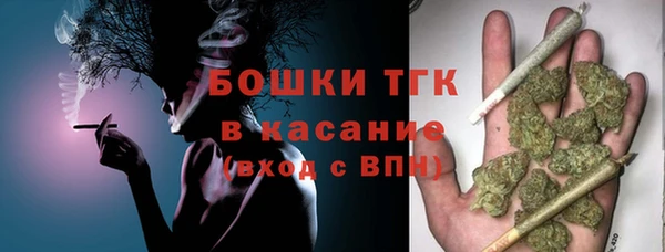 мдпв Дмитровск