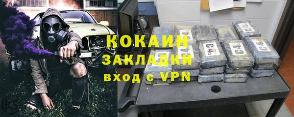мдпв Ельня