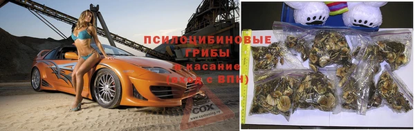 MESCALINE Дмитров