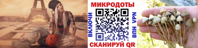Галлюциногенные грибы Magic Shrooms  Купить закладки  Кандалакша 